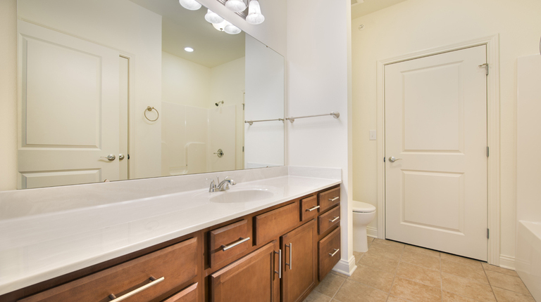 Large bathroom with ample counter space